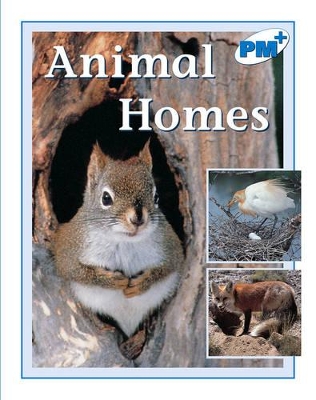 Animal Homes book