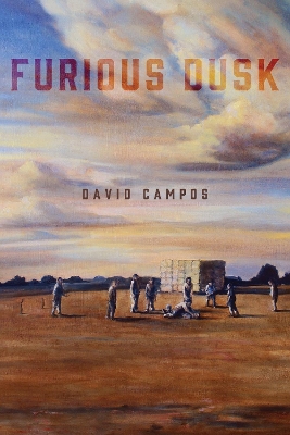 Furious Dusk book