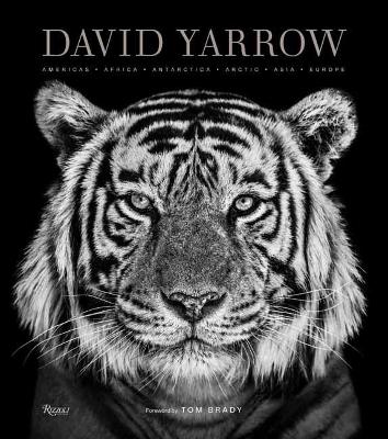 David Yarrow Photography: Americas Africa Antarctica Arctic Asia Europe book