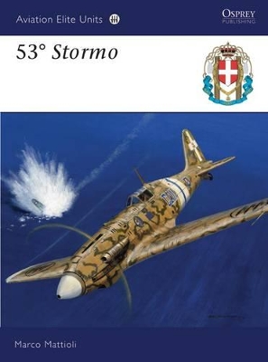 53Y Stormo book