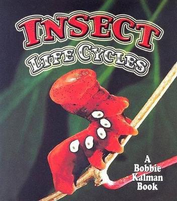 Insect Life Cycles book