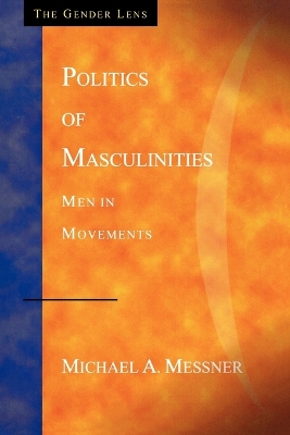 Politics of Masculinities book