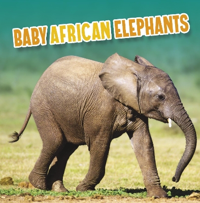 Baby African Elephants by Martha E H Rustad