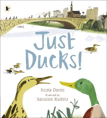 Just Ducks! by Nicola Davies