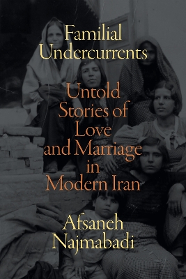 Familial Undercurrents: Untold Stories of Love and Marriage in Modern Iran book