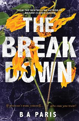 The BREAKDOWN by B A Paris