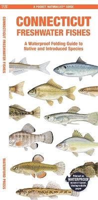 Connecticut Freshwater Fishes: A Waterproof Folding Guide to Native and Introduced Species book