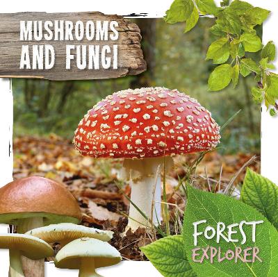 Mushrooms & Fungi book