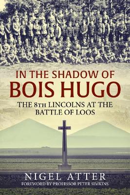 In the Shadow of Bois Hugo book