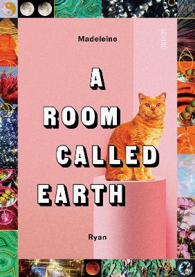 A Room Called Earth book