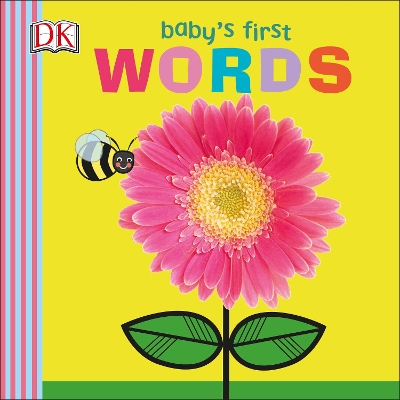 Baby's First Words book
