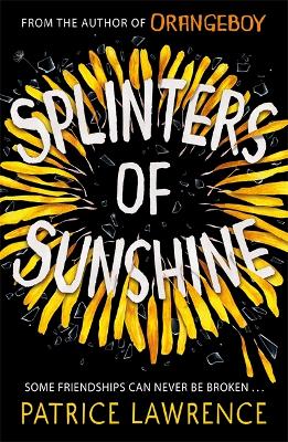 Splinters of Sunshine book