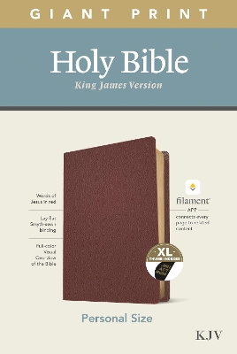 KJV Personal Size Giant Print Bible, Filament Edition, Brown book