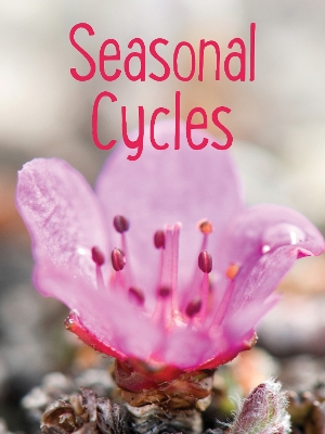 Seasonal Cycles: English Edition book