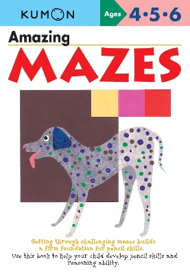 Amazing Mazes book