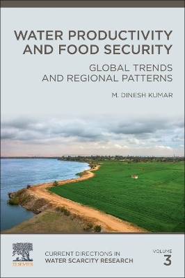 Water Productivity and Food Security: Global Trends and Regional Patterns: Volume 3 book