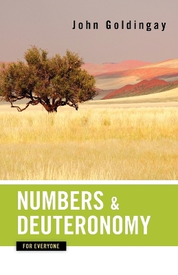 Numbers and Deuteronomy for Everyone book