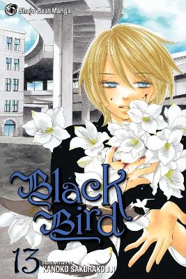 Black Bird, Vol. 13 book