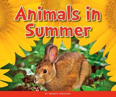 Animals in Summer book