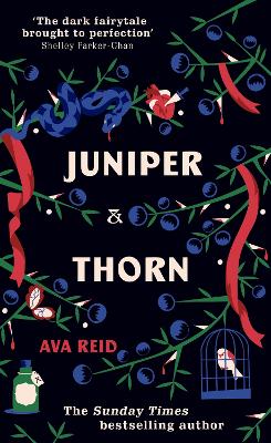 Juniper & Thorn: The Sunday Times Bestseller by Ava Reid