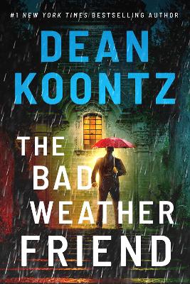The Bad Weather Friend book