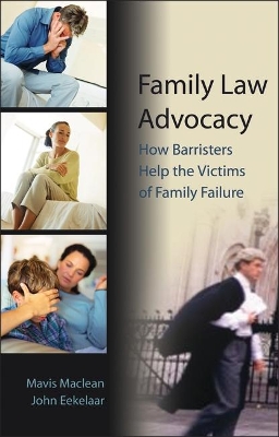 Family Law Advocacy book