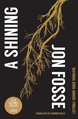 A Shining book