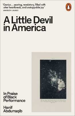 A Little Devil in America: In Praise of Black Performance book