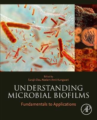 Understanding Microbial Biofilms: Fundamentals to Applications book