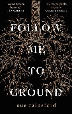 Follow Me To Ground by Sue Rainsford