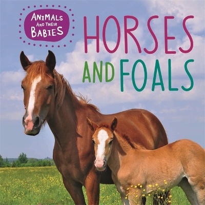 Animals and their Babies: Horses & foals book