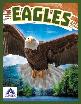 Birds of Prey: Eagles book