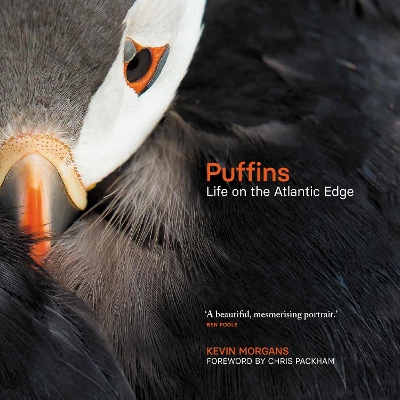 Puffins: Life on the Atlantic Edge book