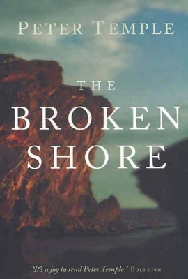 the broken shore book review
