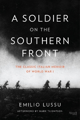 Soldier on the Southern Front book