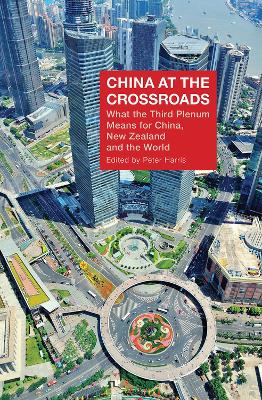 China at the Crossroads book