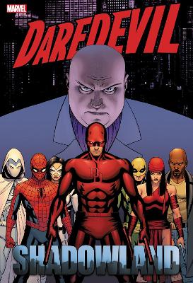 Daredevil: Shadowland Omnibus Cassaday Cover (New Printing) by Andy Diggle