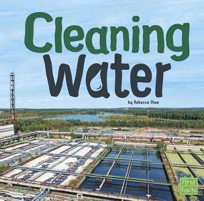 Cleaning Water book