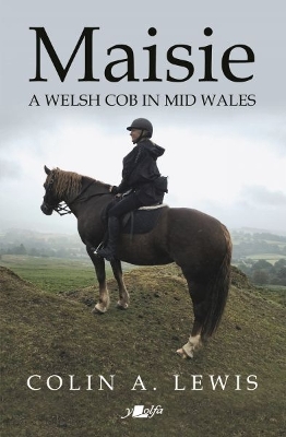 Maisie - A Welsh Cob in Mid Wales book