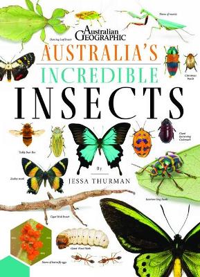 Australia's Incredible Insects book