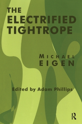 The Electrified Tightrope book