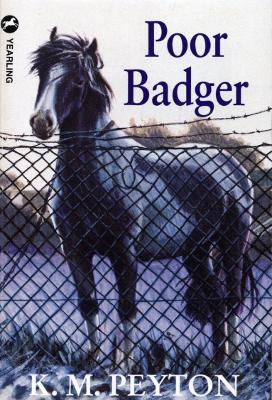 Poor Badger book