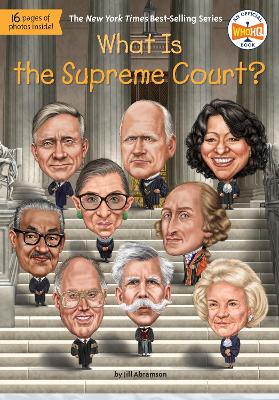 What Is the Supreme Court? book