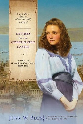 Letters from the Corrugated Castle book