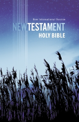 NIV, Outreach New Testament, Paperback, Blue book