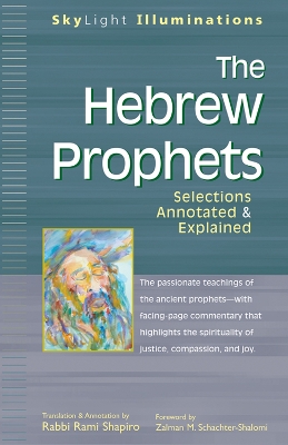 Hebrew Prophets book