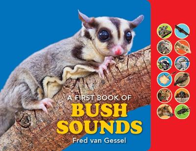A FIRST BOOK OF BUSH SOUNDS: Board book with sound bar book