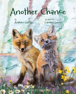 Another Chance book