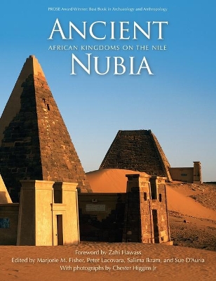 Ancient Nubia book