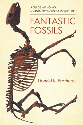 Fantastic Fossils: A Guide to Finding and Identifying Prehistoric Life book